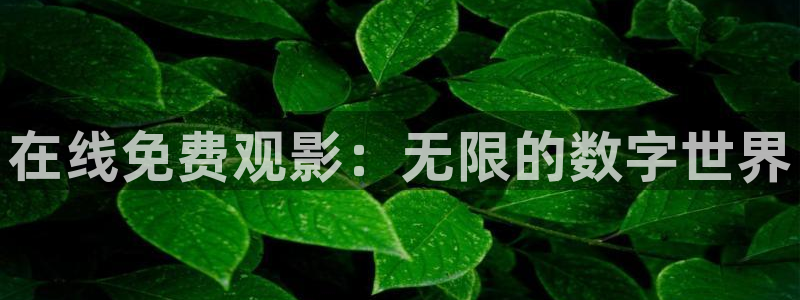 yy4138首播影院青苹果